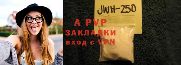 крисы Бородино