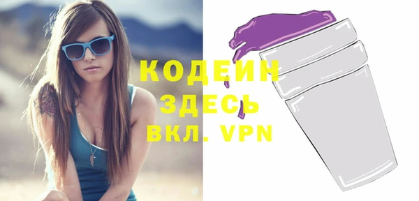 крисы Бородино