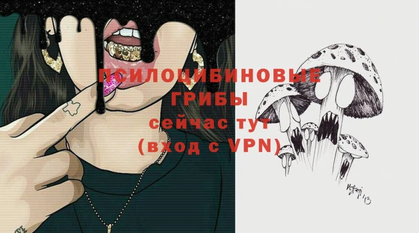 крисы Бородино
