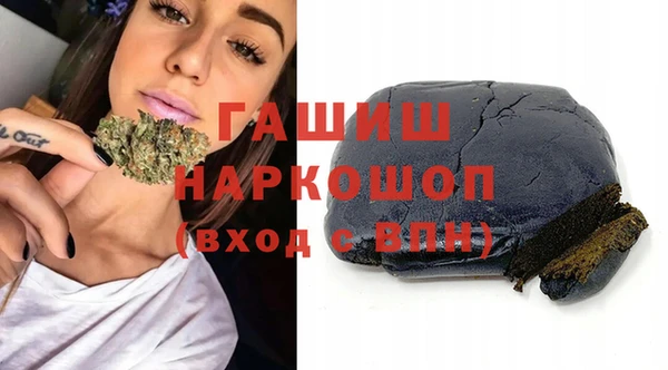 крисы Бородино