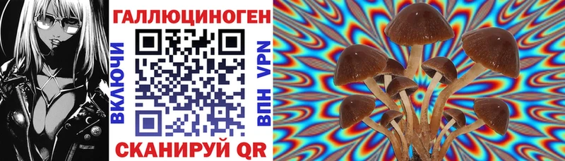 Псилоцибиновые грибы мицелий  Купить закладки  Снежинск 