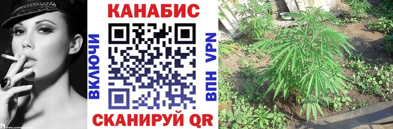 Купить закладки  Снежинск  МАРИХУАНА тримм 